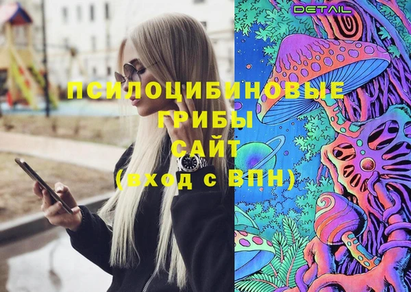 герыч Бородино