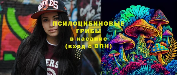 герыч Бородино